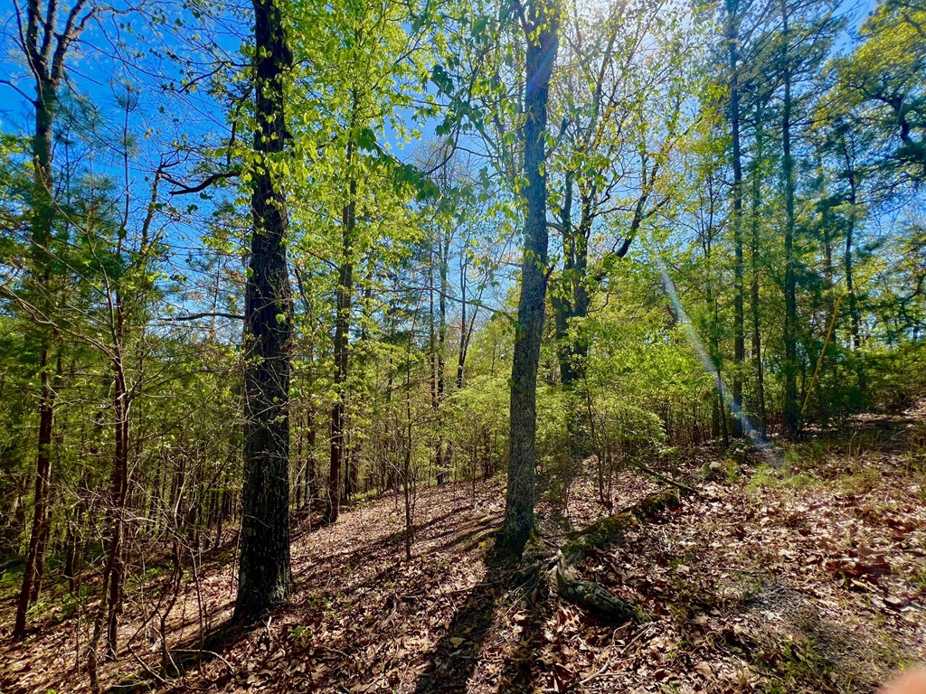 694 Railey Ridge Ranger, GA 30734 - Photo 23 of 27