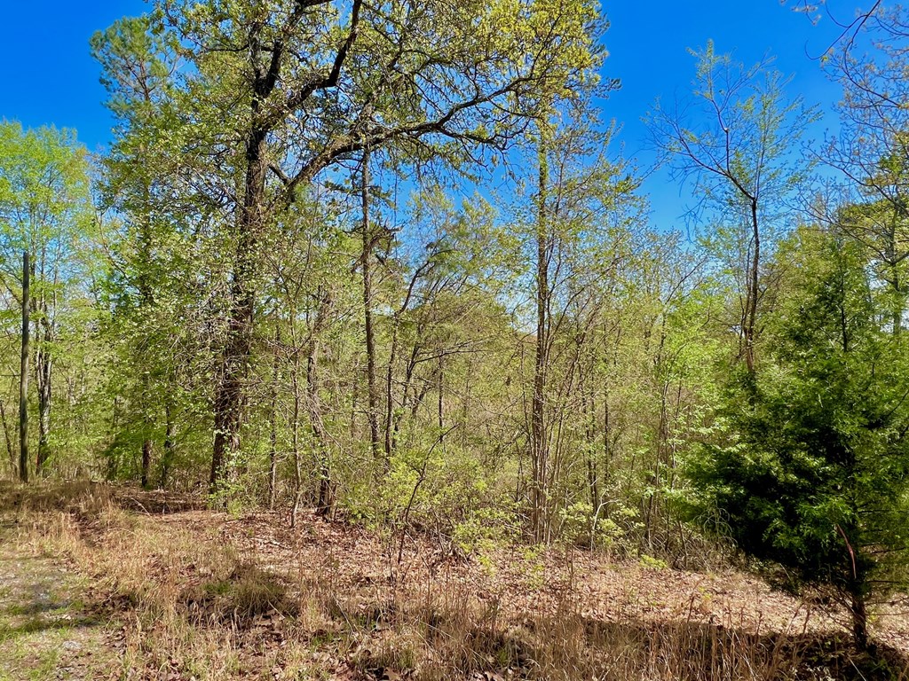 694 Railey Ridge Ranger, GA 30734 - Photo 24 of 27