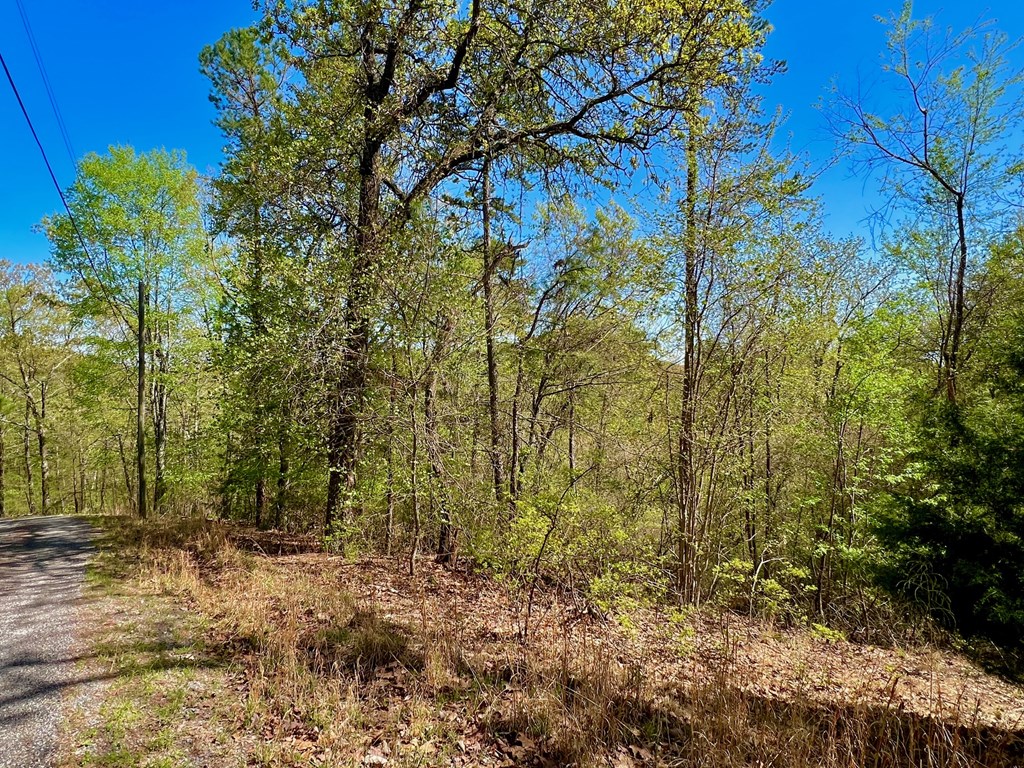 694 Railey Ridge Ranger, GA 30734 - Photo 25 of 27