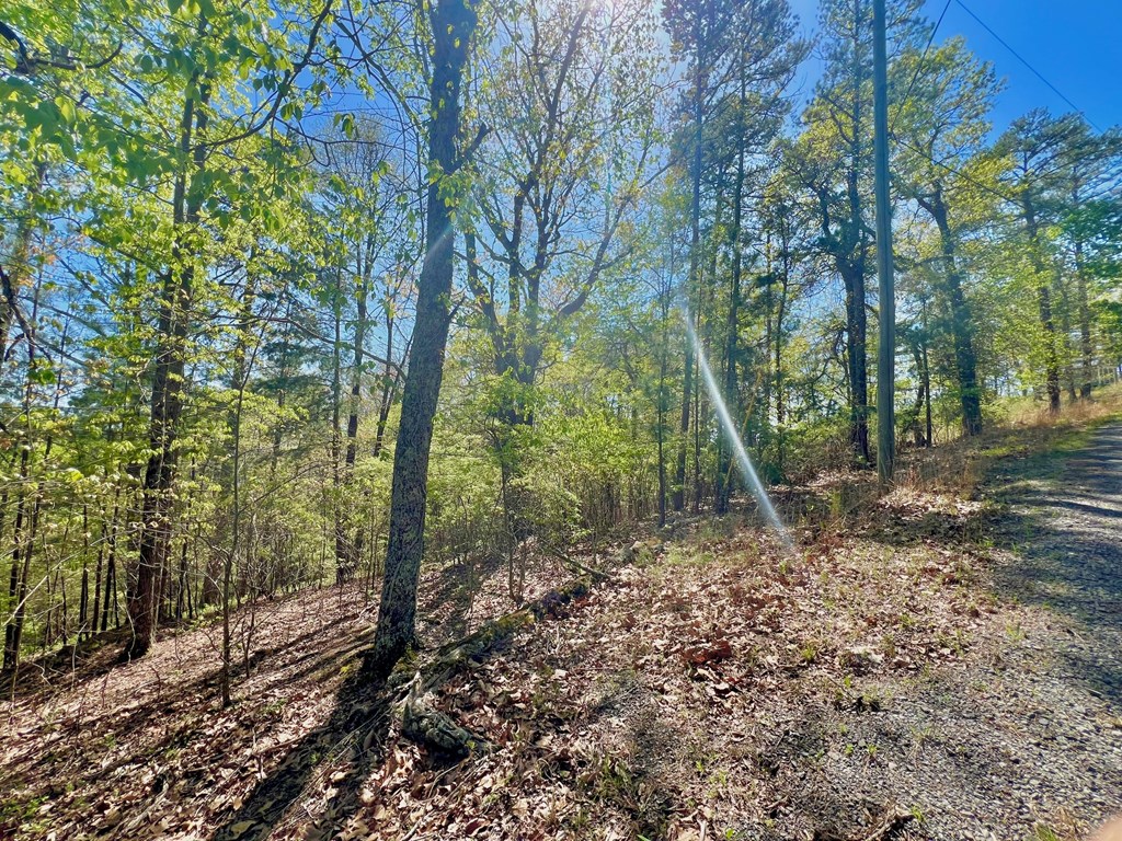 694 Railey Ridge Ranger, GA 30734 - Photo 26 of 27