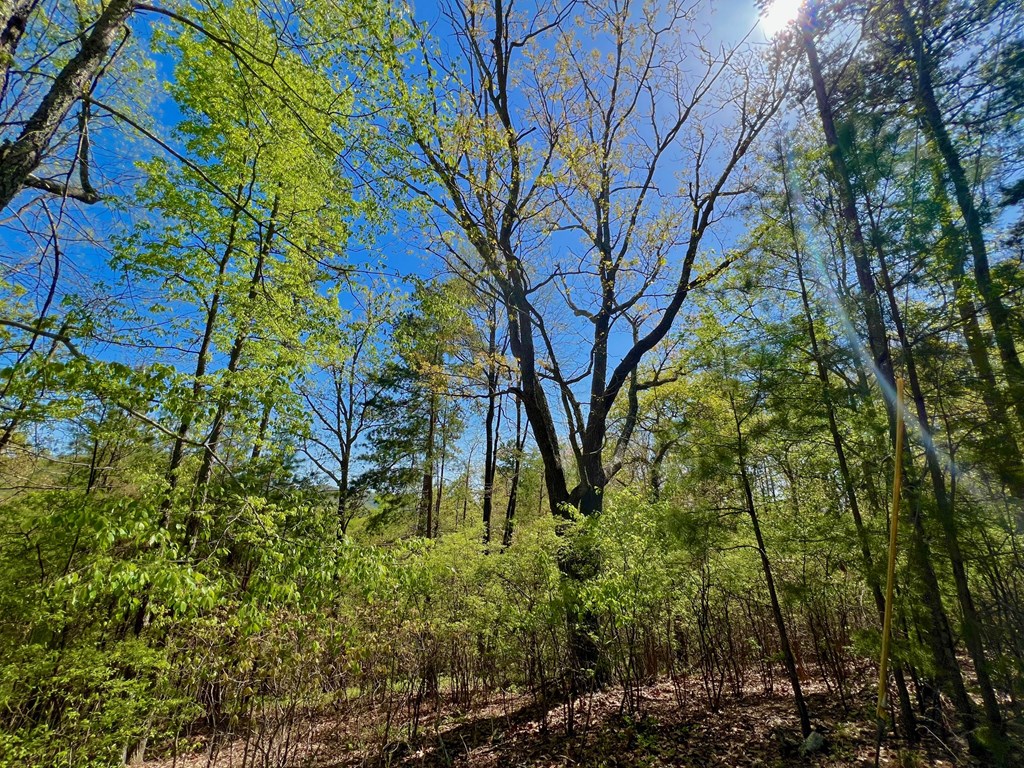 694 Railey Ridge Ranger, GA 30734 - Photo 27 of 27