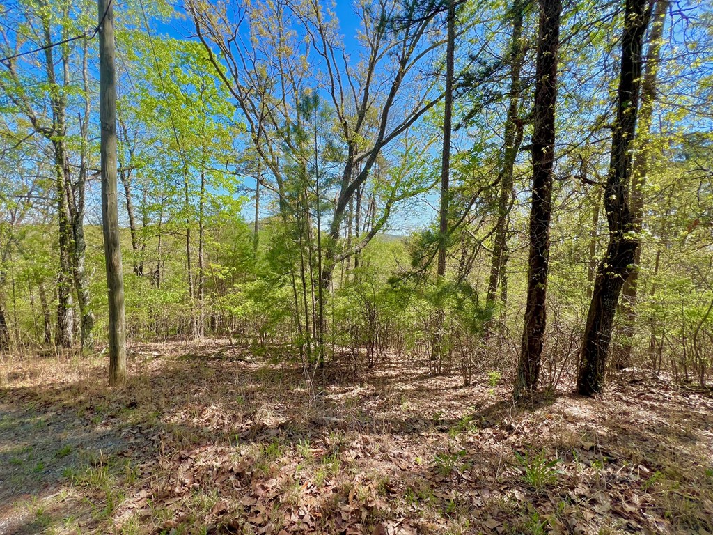 694 Railey Ridge Ranger, GA 30734 - Photo 3 of 27