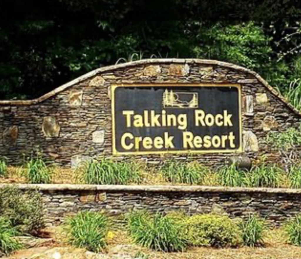 694 Railey Ridge Ranger, GA 30734 - Photo 4 of 27