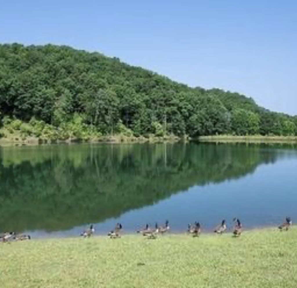 694 Railey Ridge Ranger, GA 30734 - Photo 10 of 27