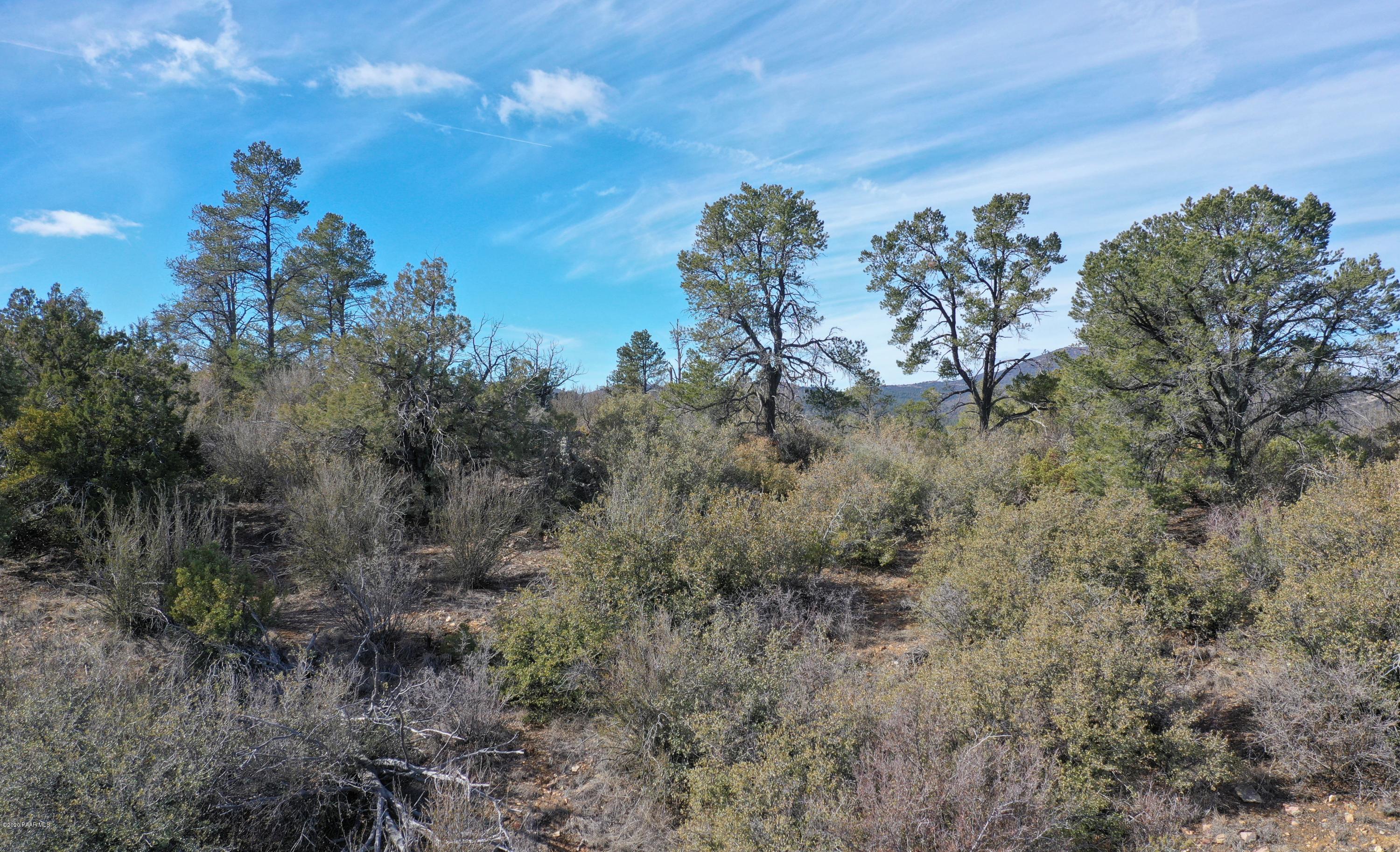 0 Tolemac Way Prescott, AZ 86305 - Photo 13 of 34 Lots of Pine and Juniper Trees