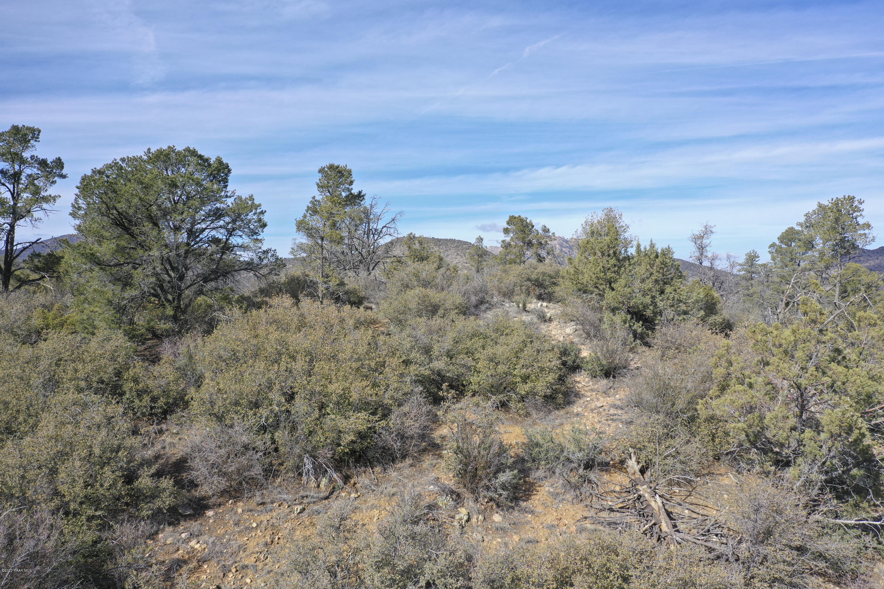 0 Tolemac Way Prescott, AZ 86305 - Photo 16 of 34 Well Treed