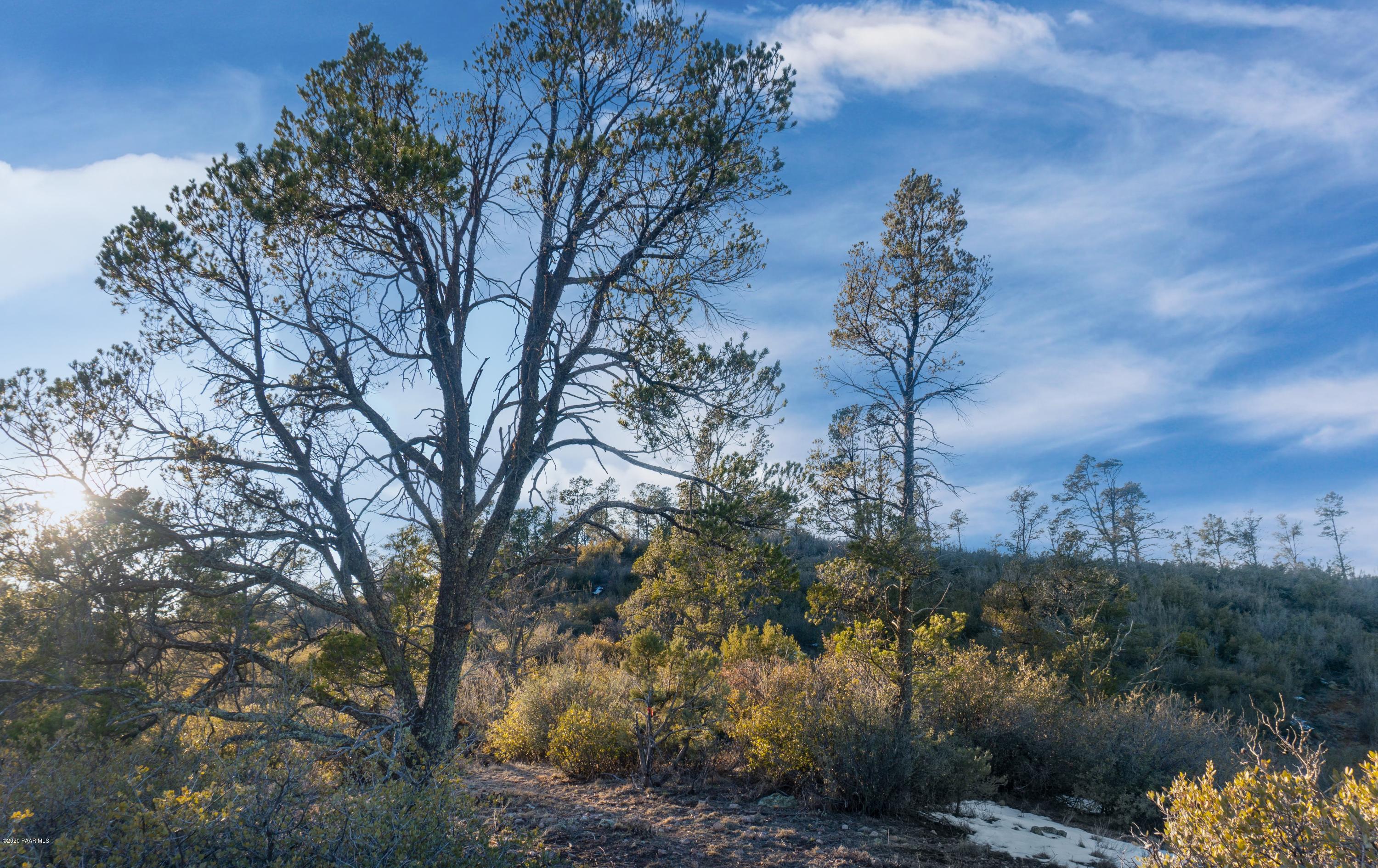 0 Tolemac Way Prescott, AZ 86305 - Photo 34 of 34 DSC09788 (2)