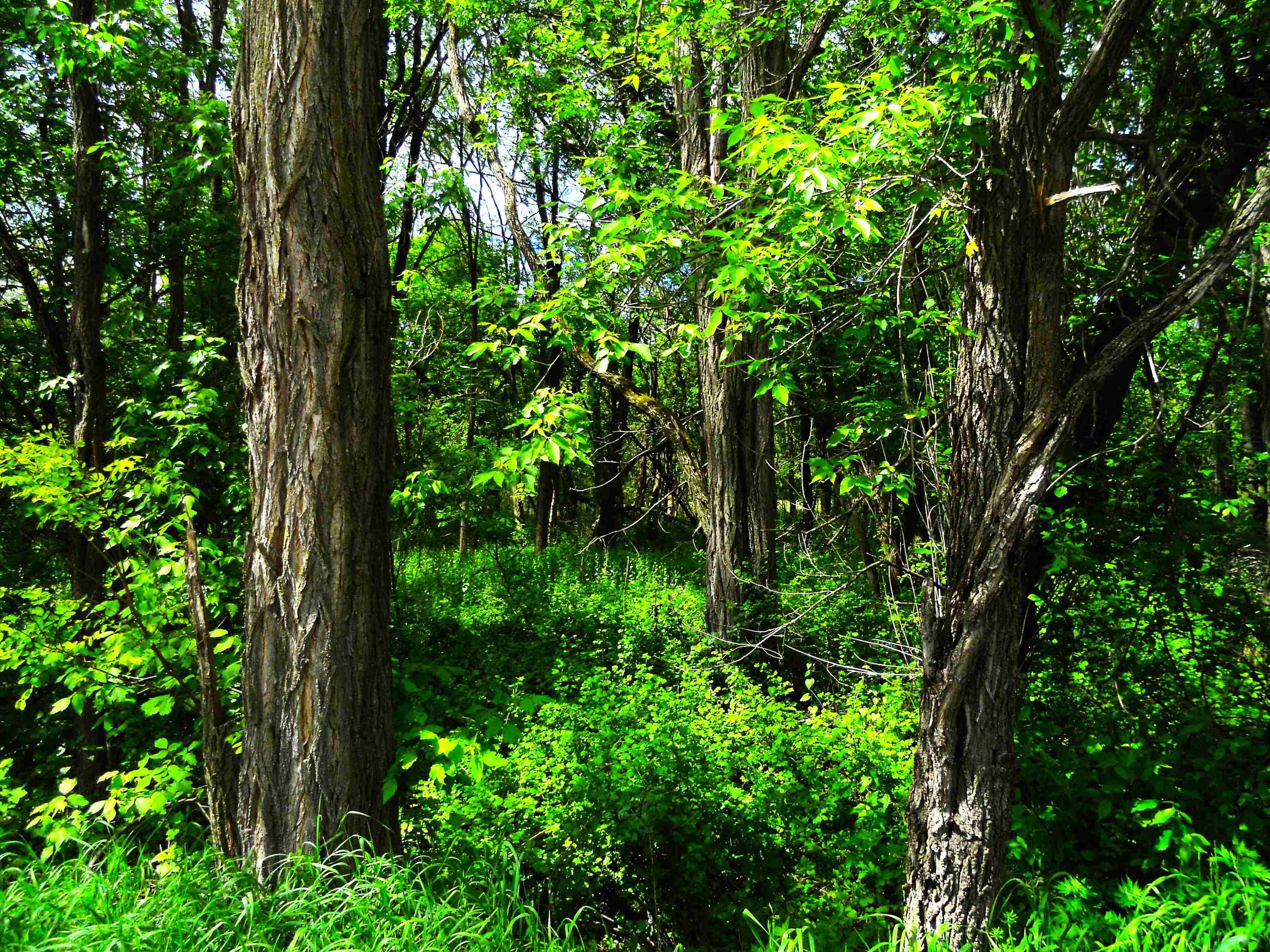 1129 Ember Drive Adams, WI 53910 - Photo 21 of 21