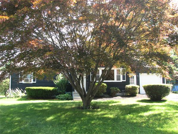 151 Lancashire Road Springfield, MA 01104 - Photo 14 of 14 Gallery Image 14