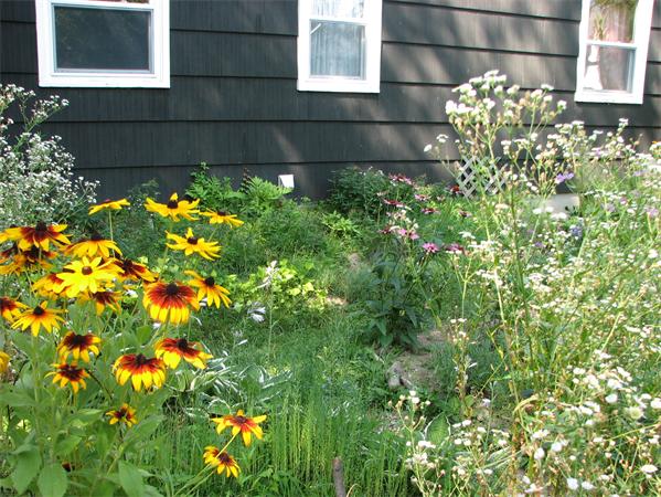 151 Lancashire Road Springfield, MA 01104 - Photo 10 of 14 Gallery Image 10
