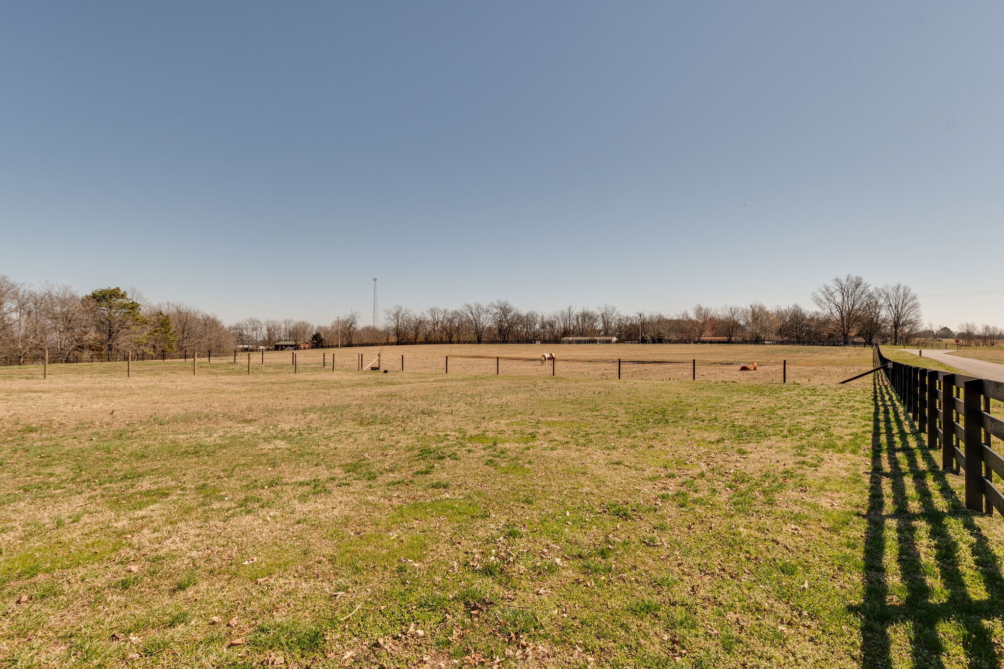 502 Fire Tower Road Pulaski, TN 38478 - Photo 40 of 48 a view of an ocean
