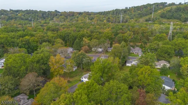 a view of a forest with a street