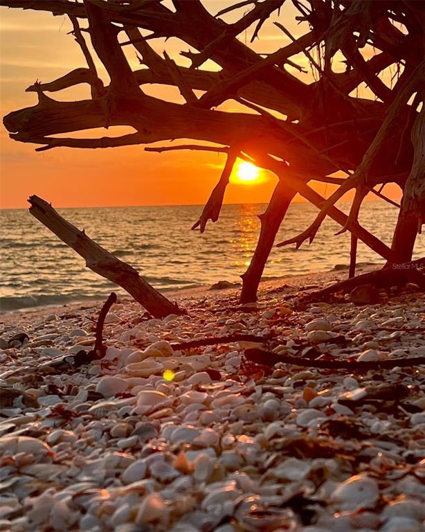 471 Bayshore Road Nokomis, FL 34275 - Photo 94 of 95