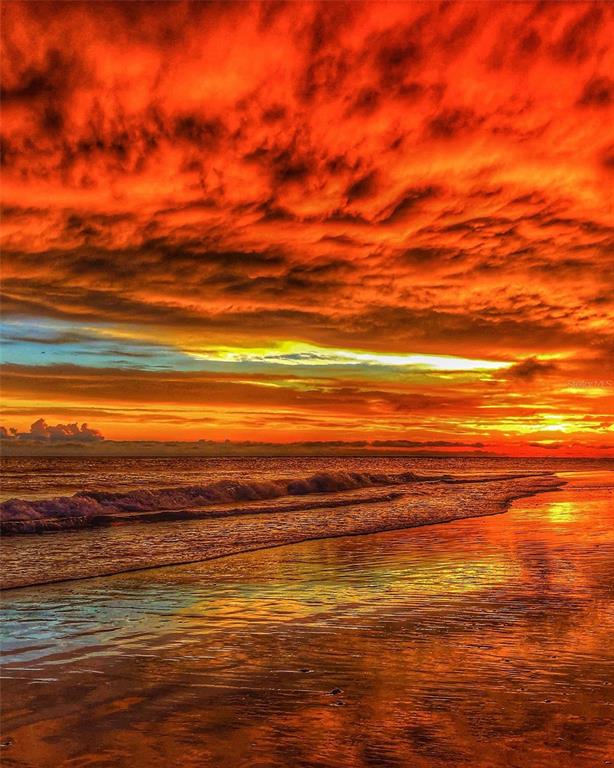 471 Bayshore Road Nokomis, FL 34275 - Photo 95 of 95