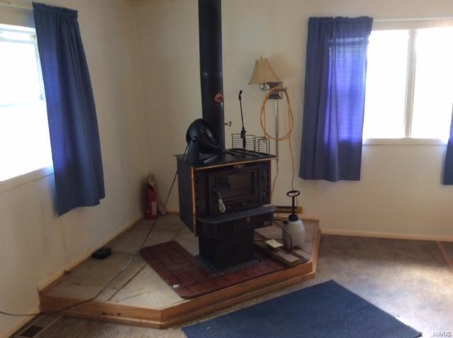 21318 Jamestown Road Pocahontas, IL 62275 - Photo 3 of 14