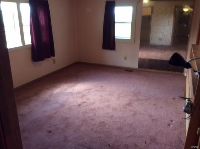21318 Jamestown Road Pocahontas, IL 62275 - Photo 5 of 14