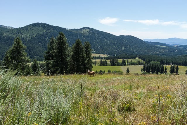 700 U Dry Gulch Road Colville, WA 99114 - Photo 2 of 10