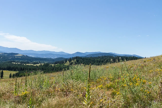 700 U Dry Gulch Road Colville, WA 99114 - Photo 5 of 10