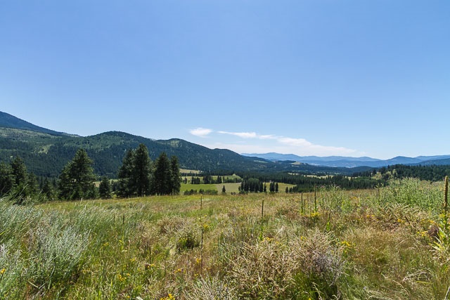 700 U Dry Gulch Road Colville, WA 99114 - Photo 6 of 10