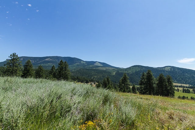 700 U Dry Gulch Road Colville, WA 99114 - Photo 7 of 10