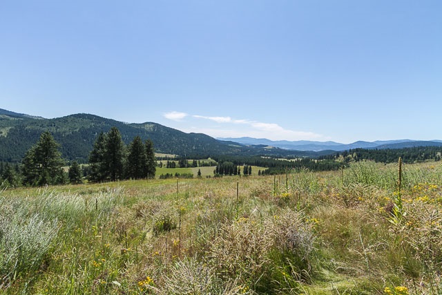 700 U Dry Gulch Road Colville, WA 99114 - Photo 9 of 10