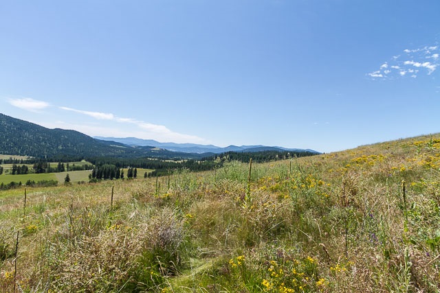 700 U Dry Gulch Road Colville, WA 99114 - Photo 10 of 10