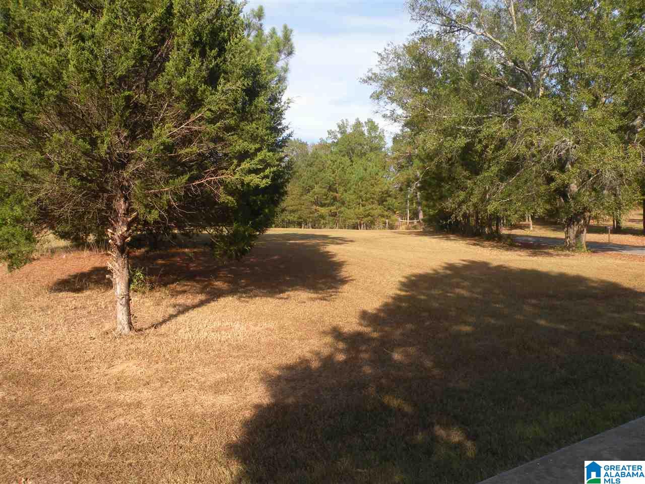 390 Five Oaks Lane Alpine, AL 35014 - Photo 25 of 29