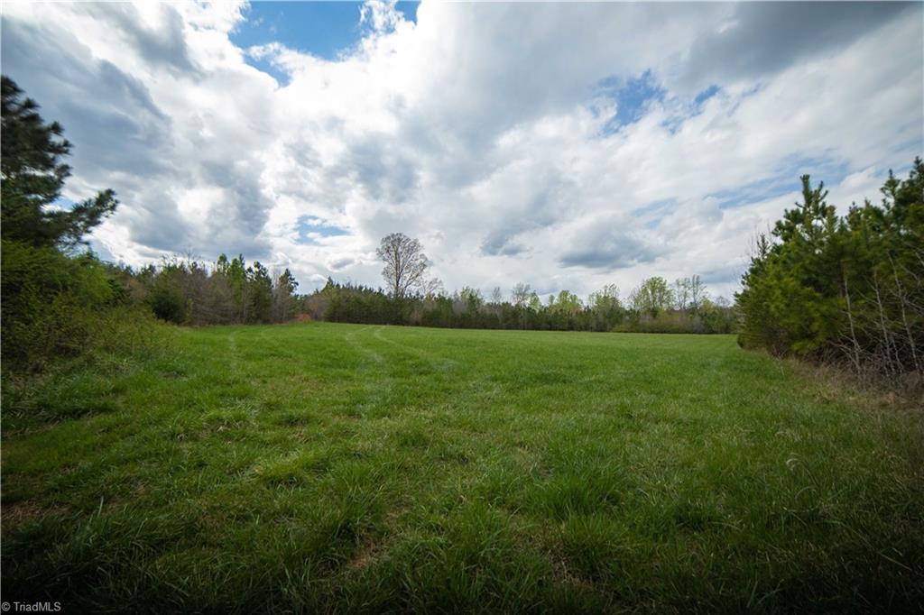 1765 Rural Hall-Germanton Road Rural Hall, NC 27045 - Photo 3 of 11