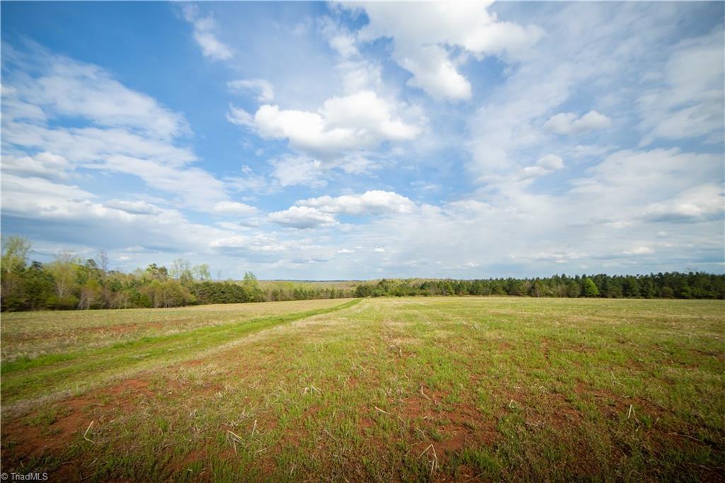1765 Rural Hall-Germanton Road Rural Hall, NC 27045 - Photo 10 of 11