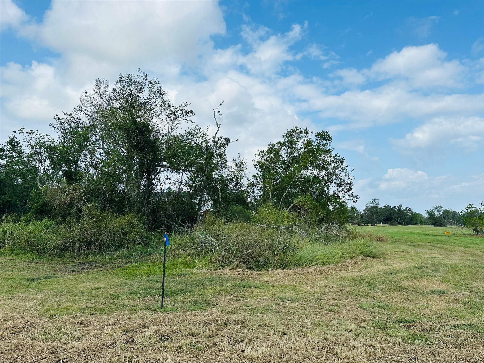 101 Trailblazer Drive Angleton, TX 77515 - Photo 4 of 14