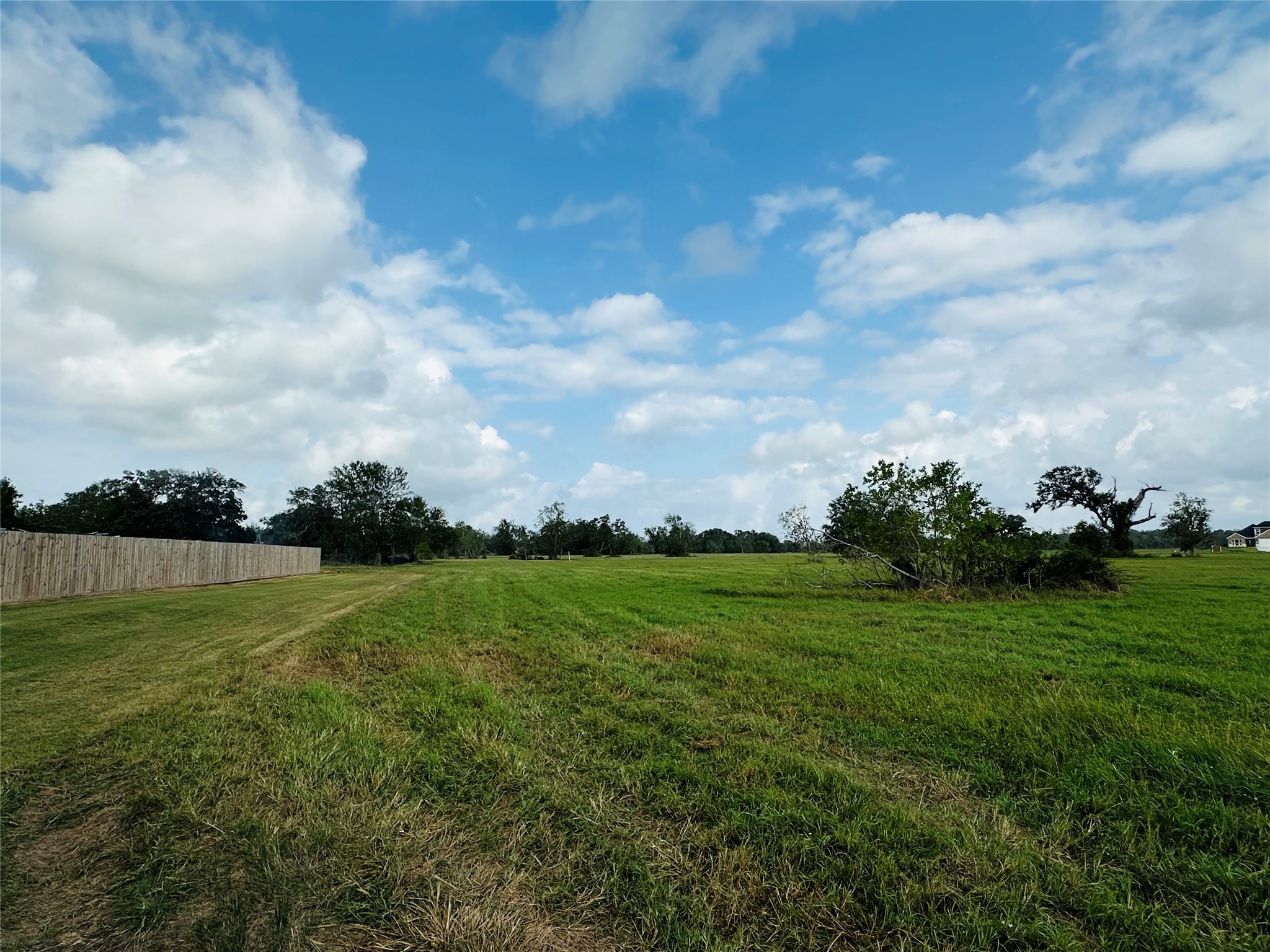 101 Trailblazer Drive Angleton, TX 77515 - Photo 5 of 14