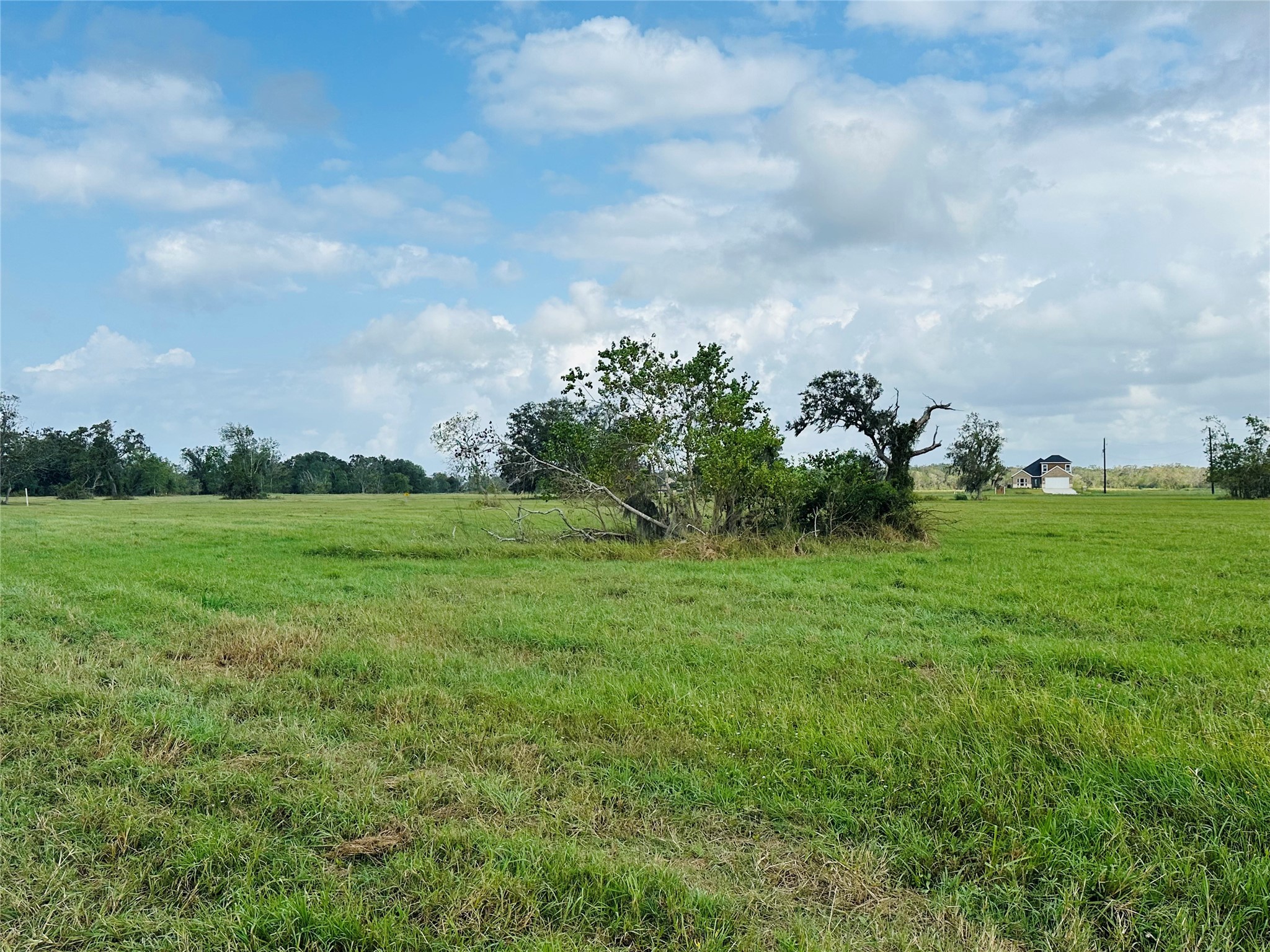 101 Trailblazer Drive Angleton, TX 77515 - Photo 6 of 14