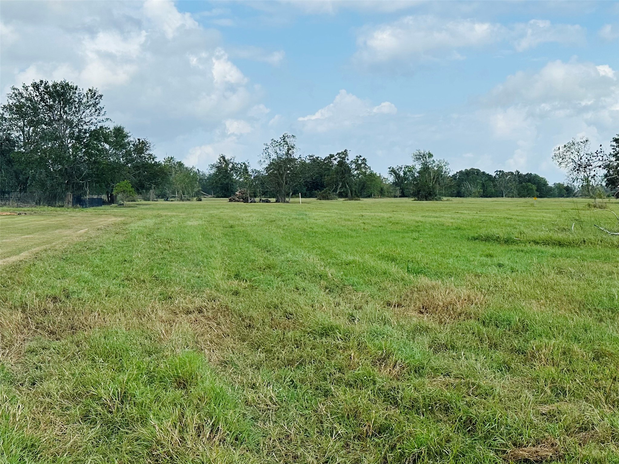 101 Trailblazer Drive Angleton, TX 77515 - Photo 7 of 14