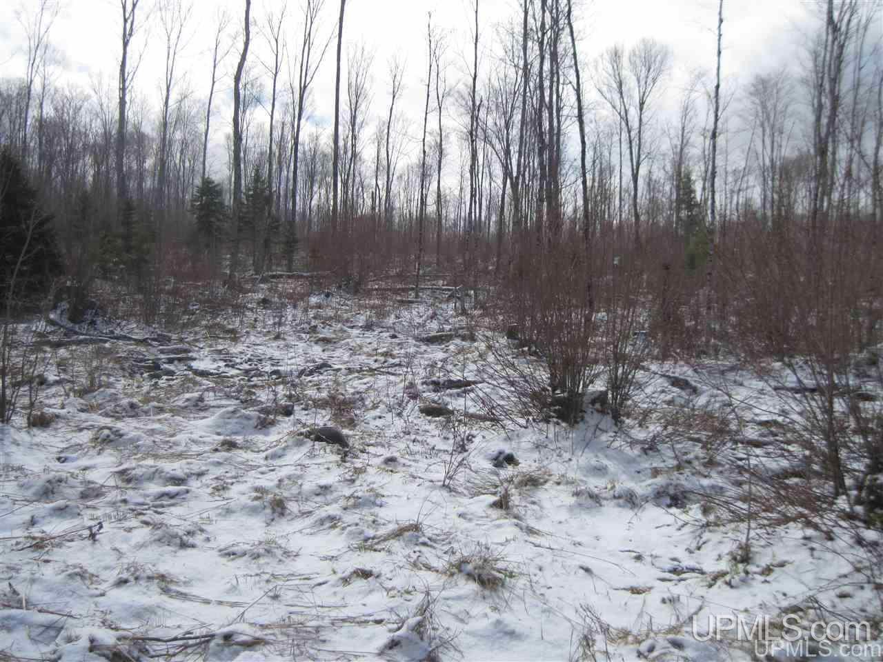 3475 Rd Iron River Iron River, MI 49935 - Photo 5 of 15