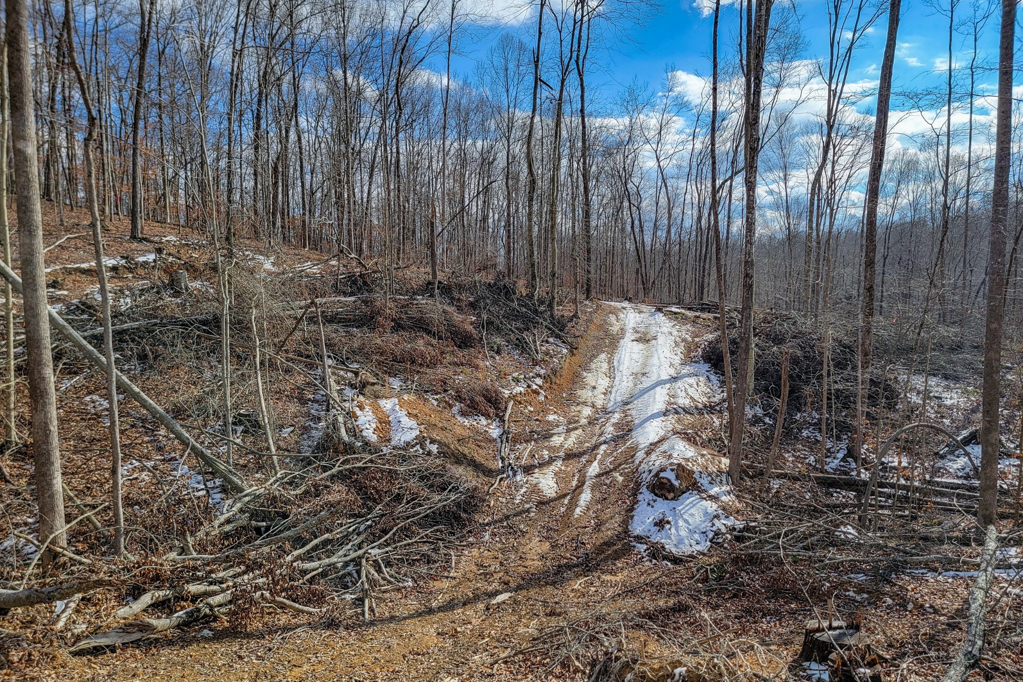0 Hutchins Bend Road Sparta, TN 38583 - Photo 3 of 12 a view of covered with trees