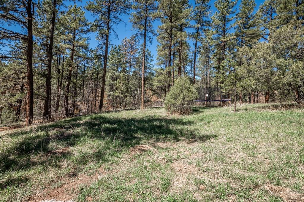 4962 Northcreek Road Beulah, CO 81023 - Photo 5 of 35