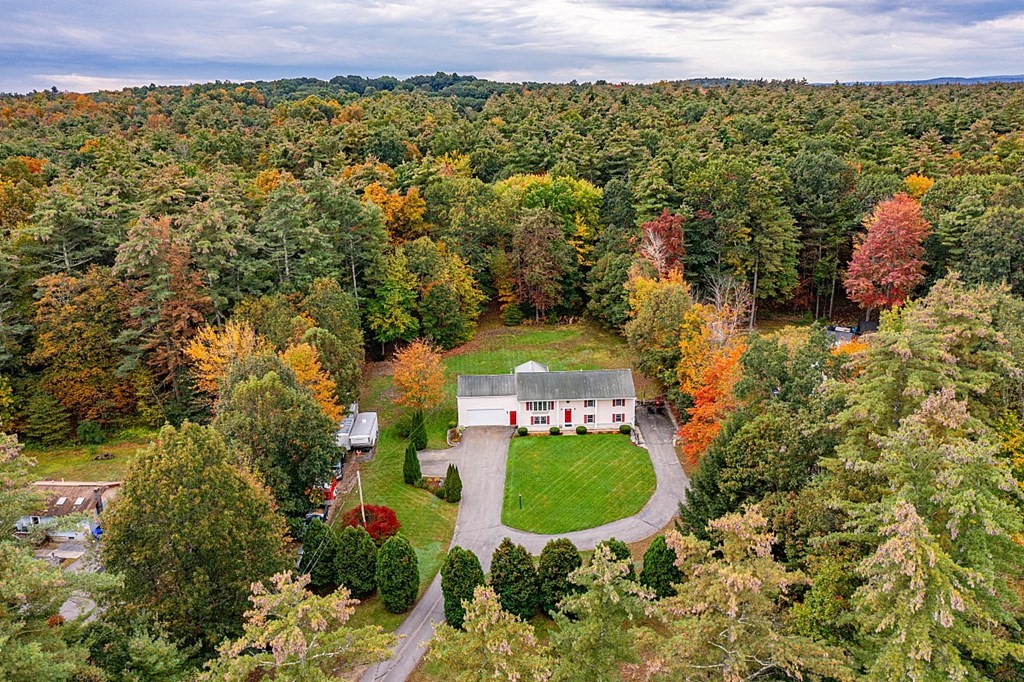 252 Great Road Shirley, MA 01464 - Photo 42 of 42 a view of a bunch of flowers and trees