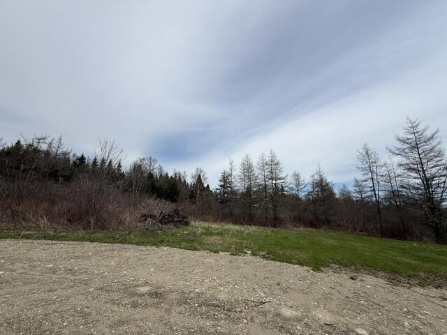 Lot 5 Holmes Bay Farms Road Whiting, ME 04691 - Photo 13 of 23 IMG_9163 (1)