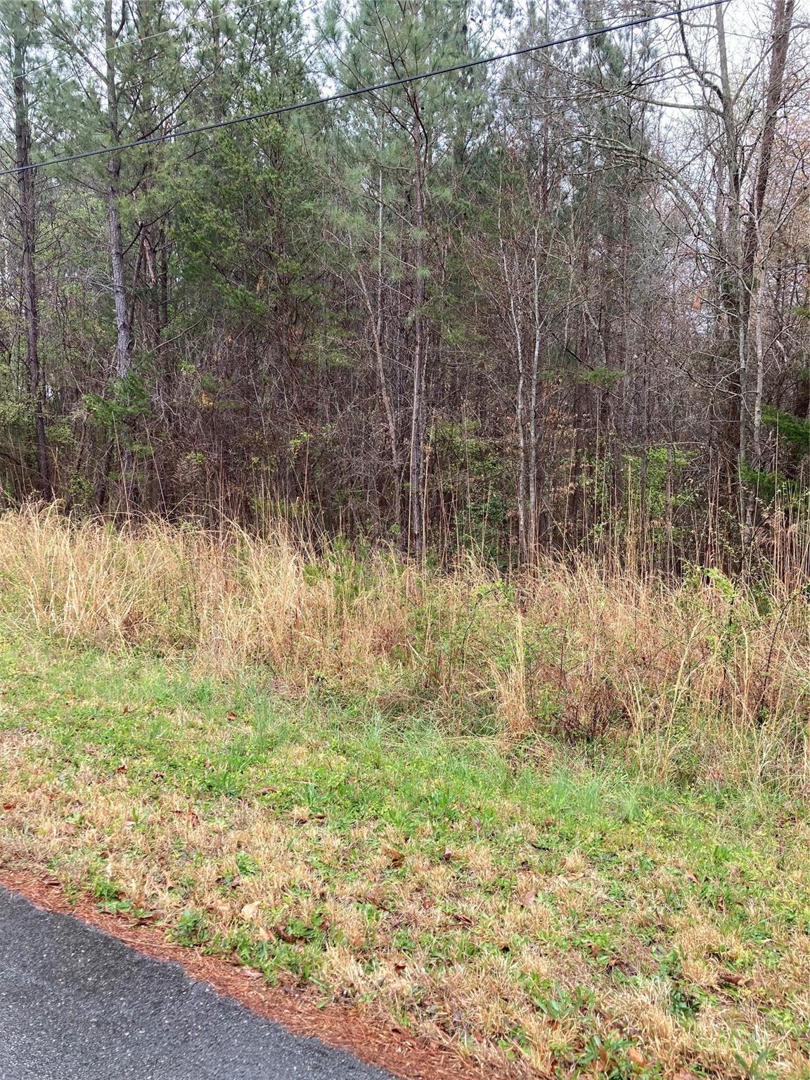 0 Ponderosa Road Stanley, NC 28164 - Photo 3 of 3 a backyard of a house with lots of green space and chair