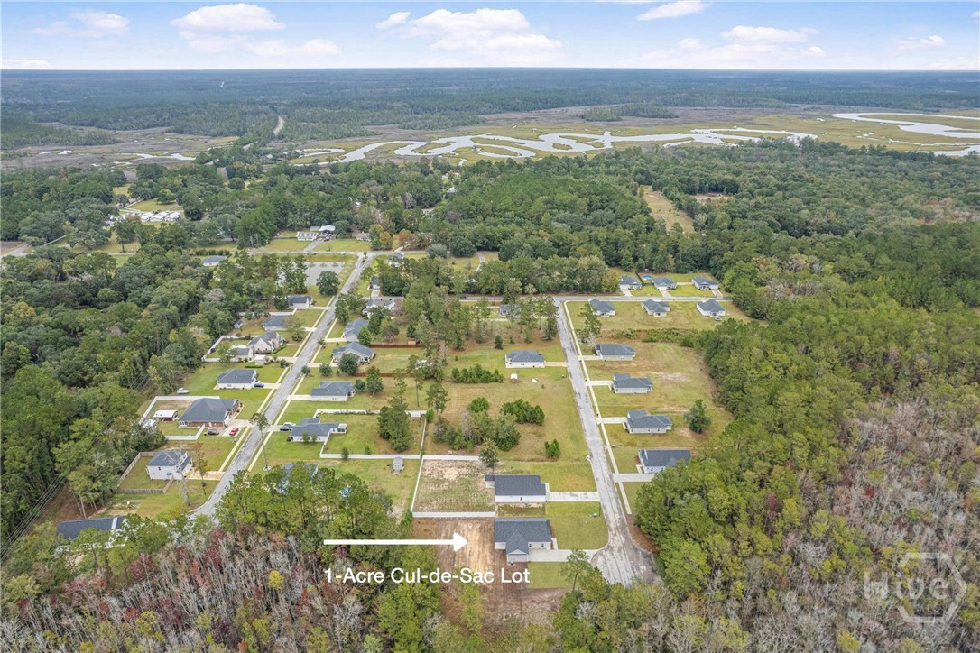 1138 Hanover Lane Townsend, GA 31331 - Photo 1 of 39 Over 1 acre in Jacks Bluff!