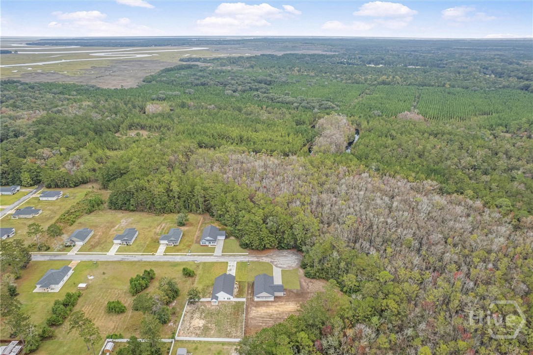 1138 Hanover Lane Townsend, GA 31331 - Photo 36 of 39 Located near Shellman Bluff.