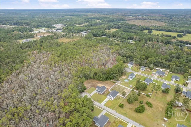 $310,000 | 1138 Hanover Lane, Townsend, GA 31331