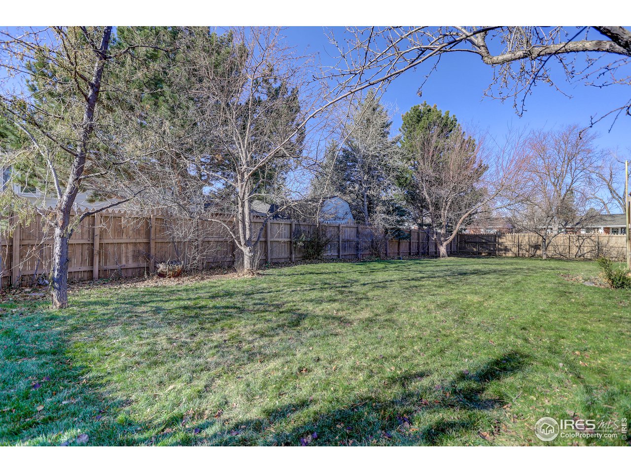 385 Manhattan Drive Boulder, CO 80303 - Photo 26 of 28 a view of a backyard with large trees