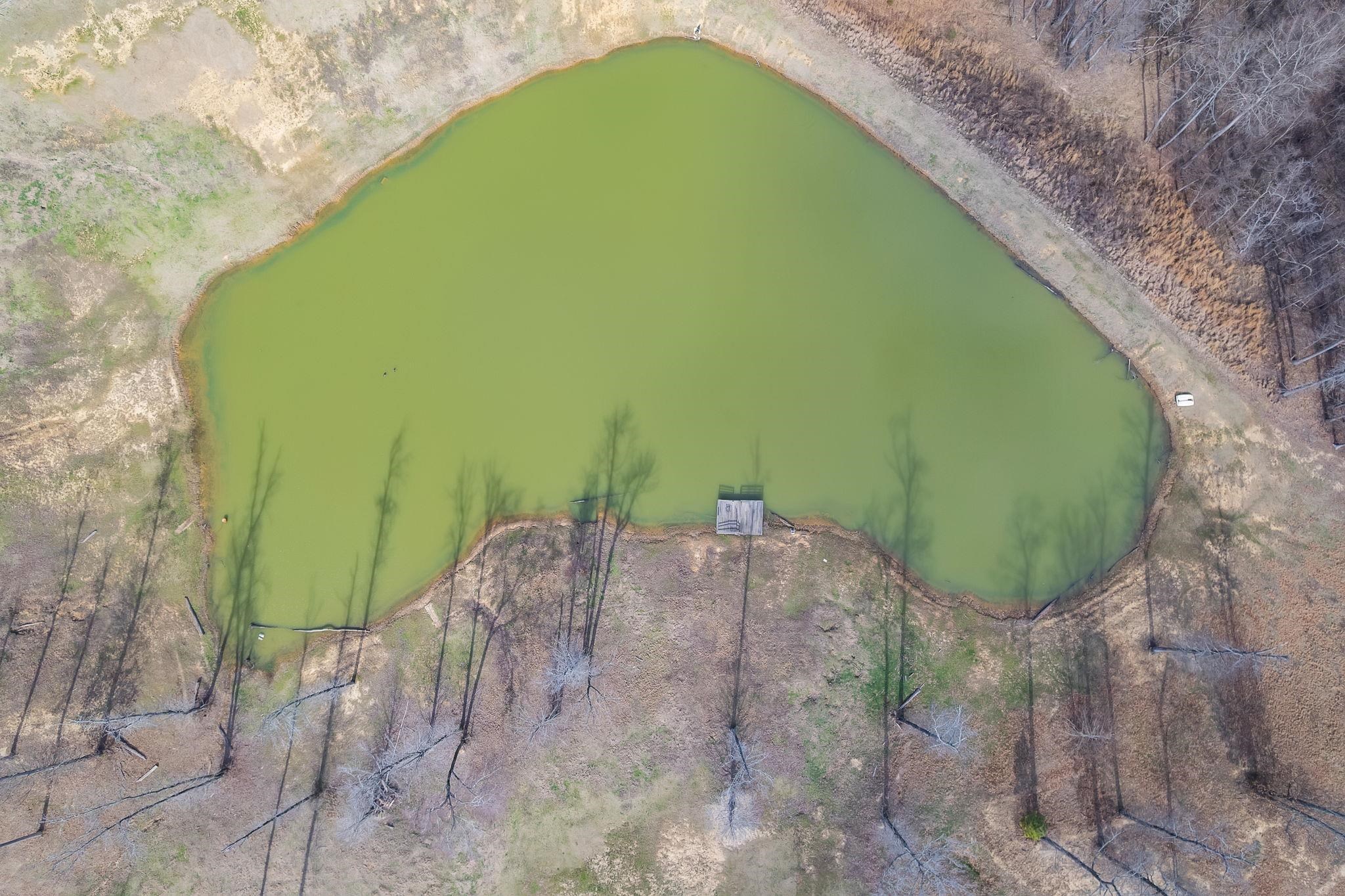 2656 Curve Woodville Road Ripley, TN 38063 - Photo 8 of 39