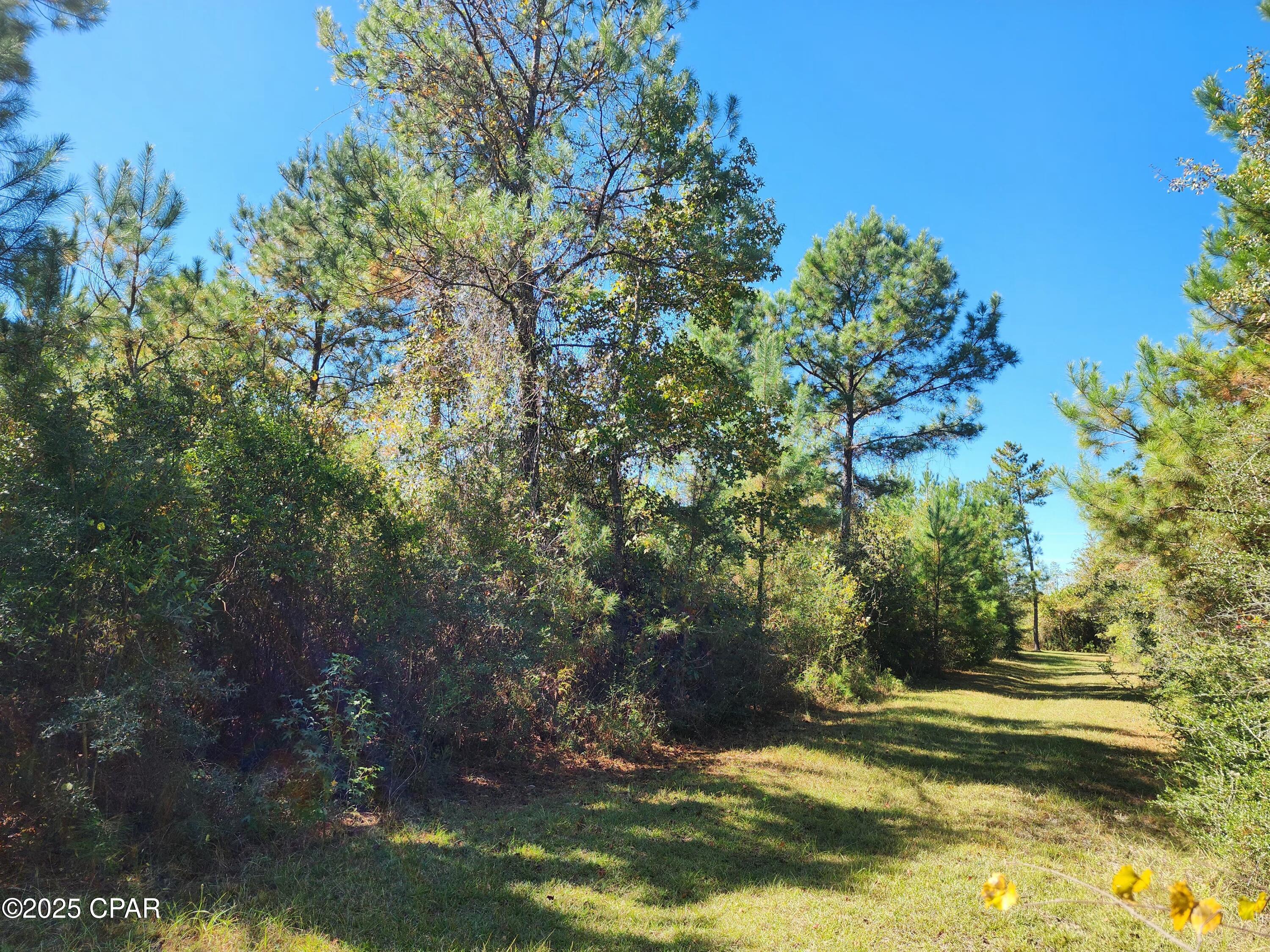 0 Pineridge Church Road Marianna, FL 32448 - Photo 28 of 33