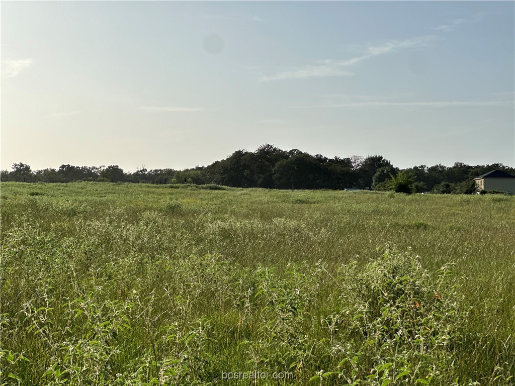 1200 Steamboat Bryan, TX 77807 - Photo 4 of 7