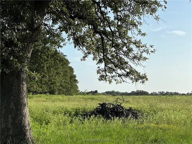 $395,000 | 1200 Steamboat, Bryan, TX 77807