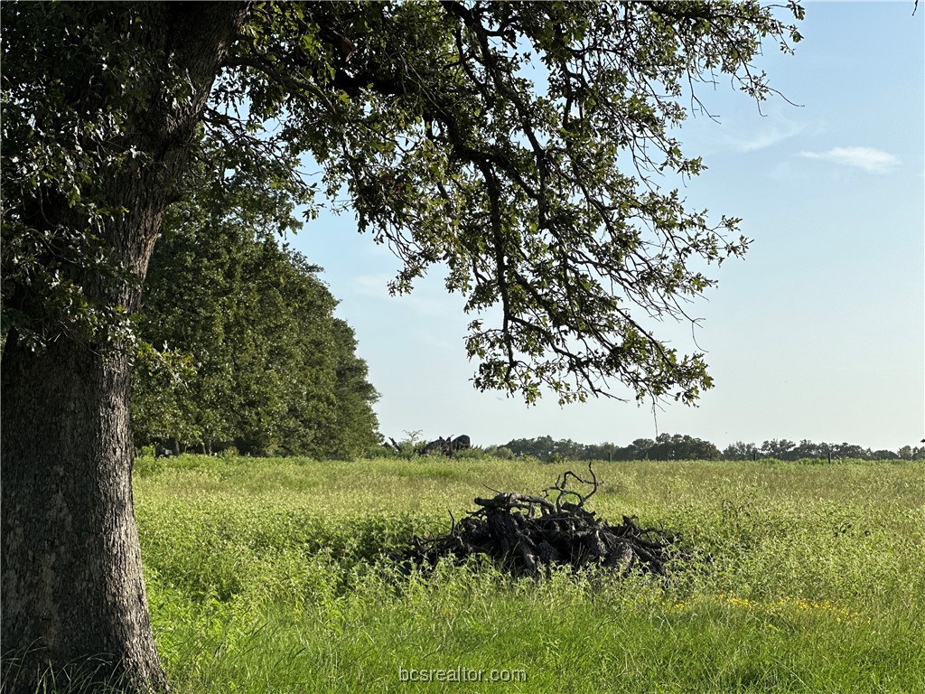1200 Steamboat Bryan, TX 77807 - Photo 5 of 7
