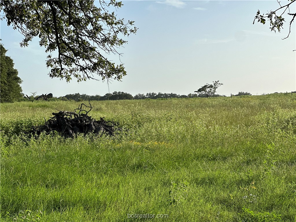 1200 Steamboat Bryan, TX 77807 - Photo 6 of 7