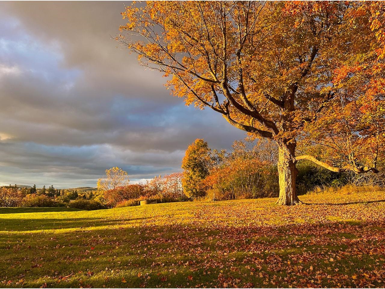 139 Southridge Road Shelburne, VT 05482 - Photo 26 of 49